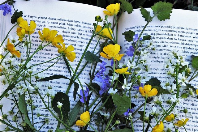 Yellow and blue flowers on the surface of a book, indicating the charm of books and letters